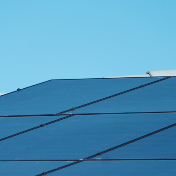 premium_photo-1679002174170-93de5abcae97